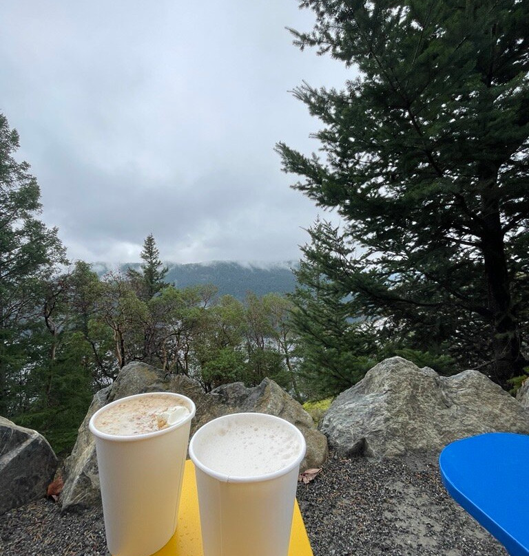 Malahat Skywalk-Malahat必去景点