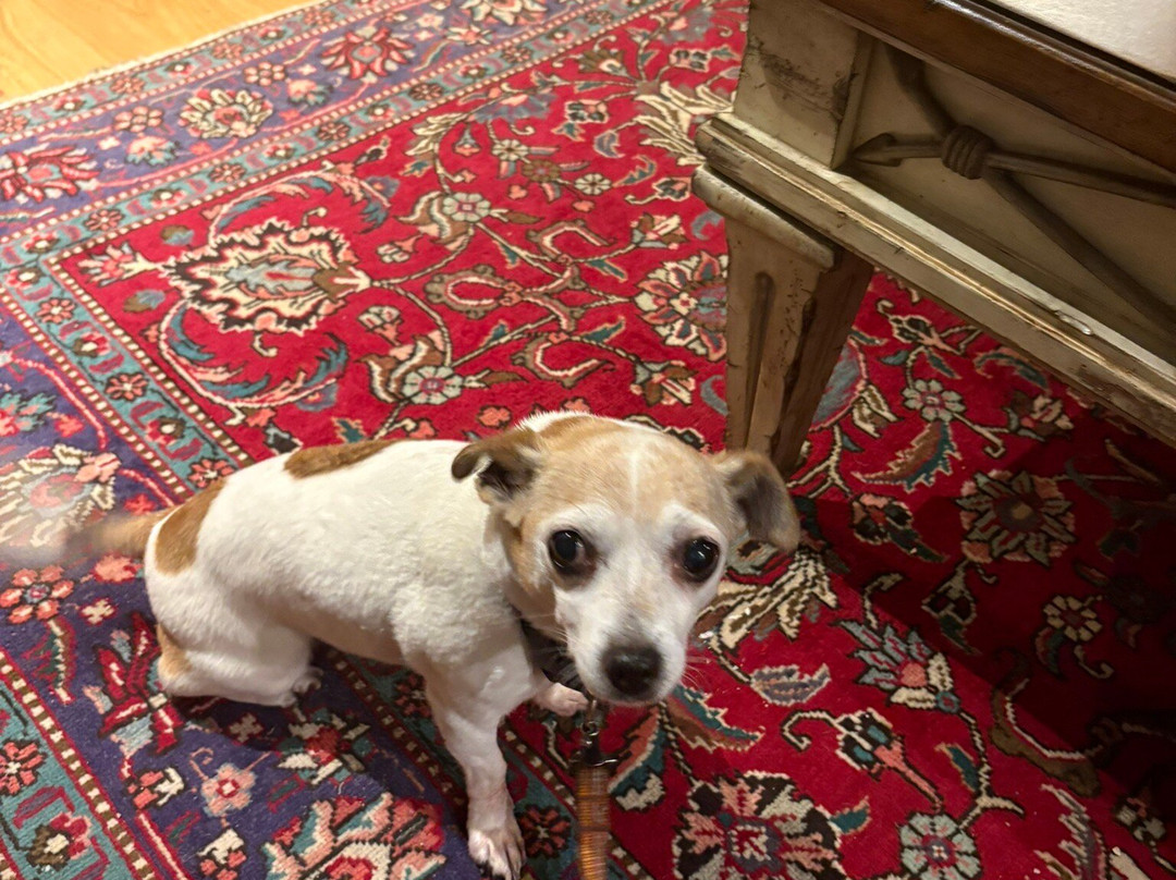 The Vines Bar Rooms主图