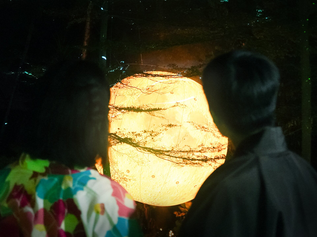 Hikaria: Bali's First Immersive Night Walk-Tegallalang必去景点