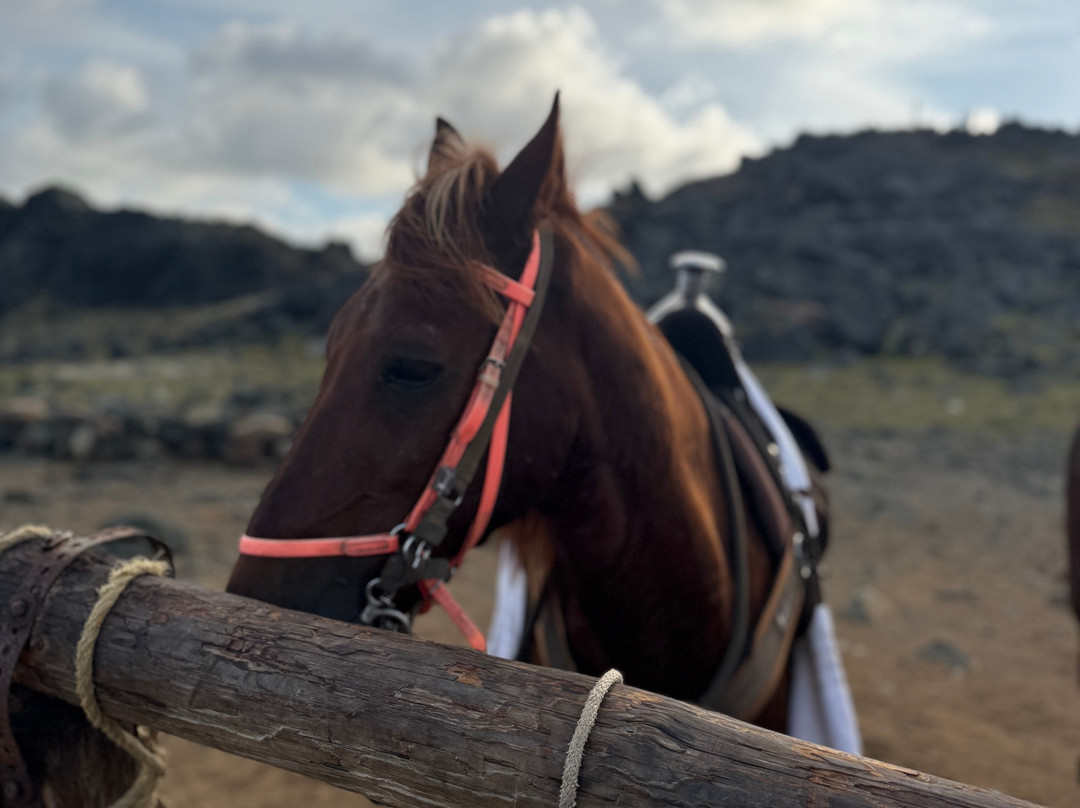 Rancho Loco-Santa Cruz必去景点