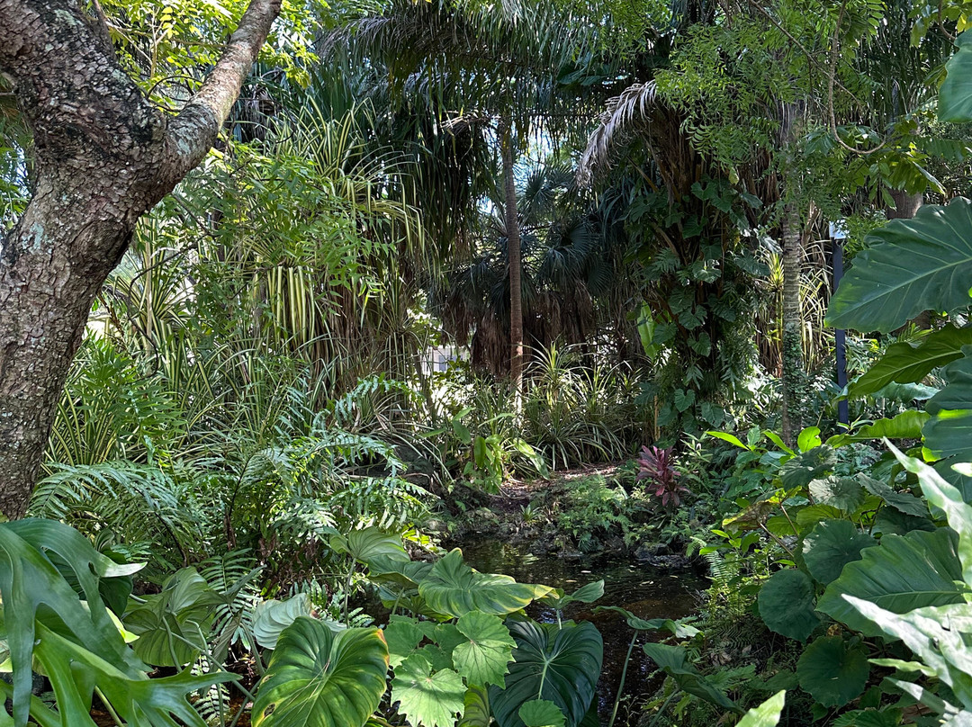 Deerfield Beach Arboretum-迪尔菲尔德比奇必去景点