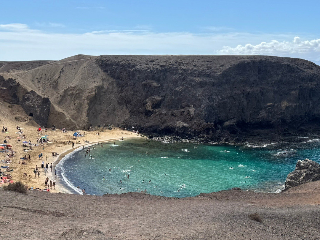 Wine Tours Lanzarote-卡门港必去景点