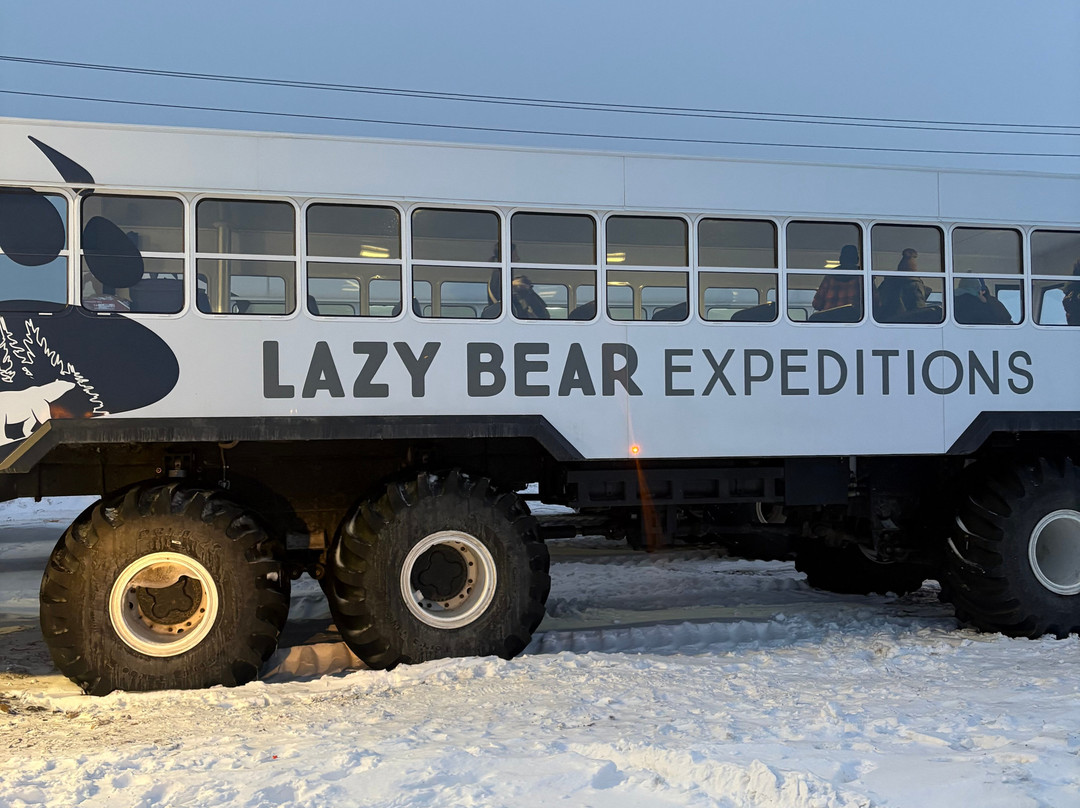 Lazy Bear Lodge主图