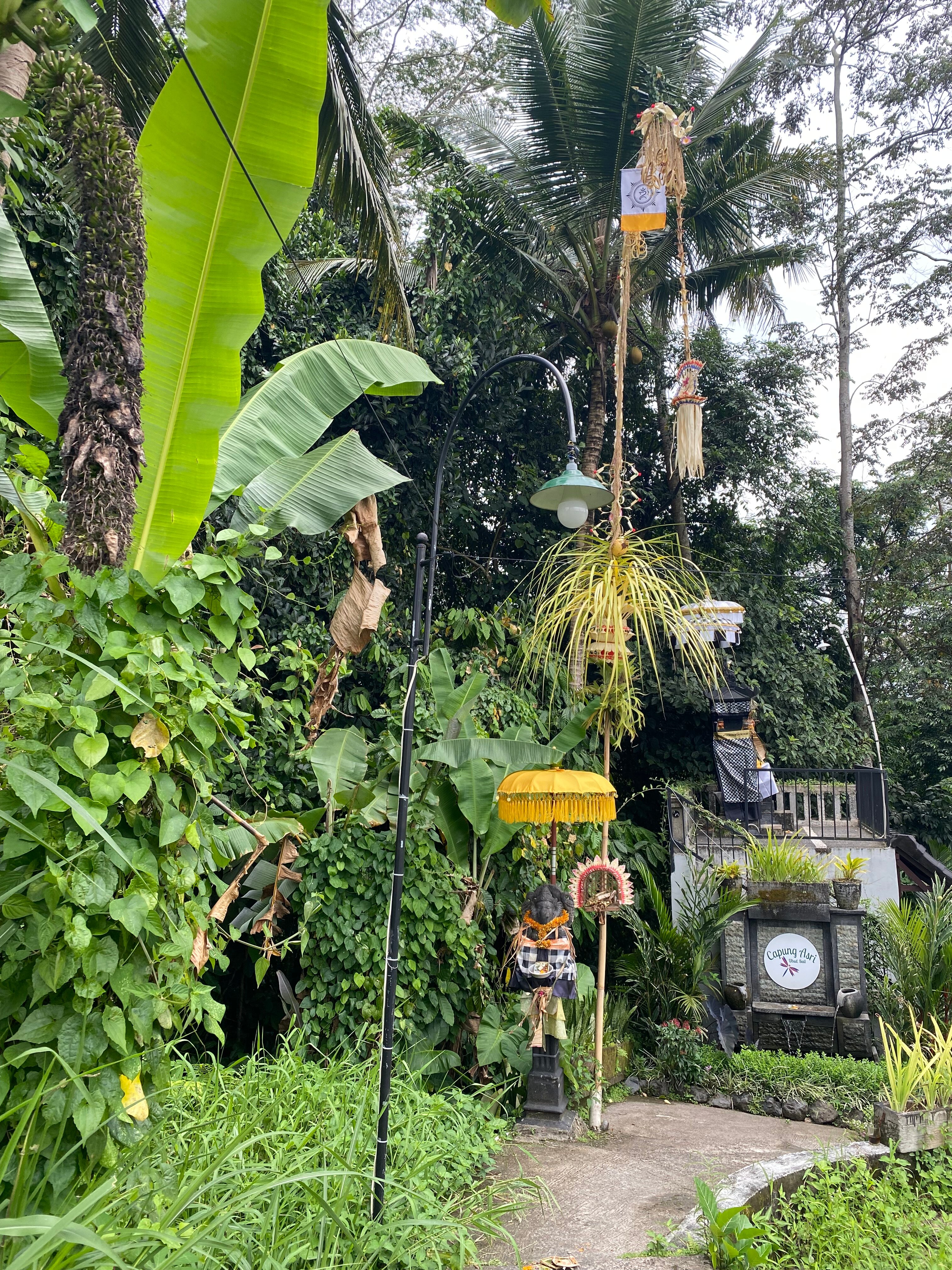 Capung Asri Ubud-官方
