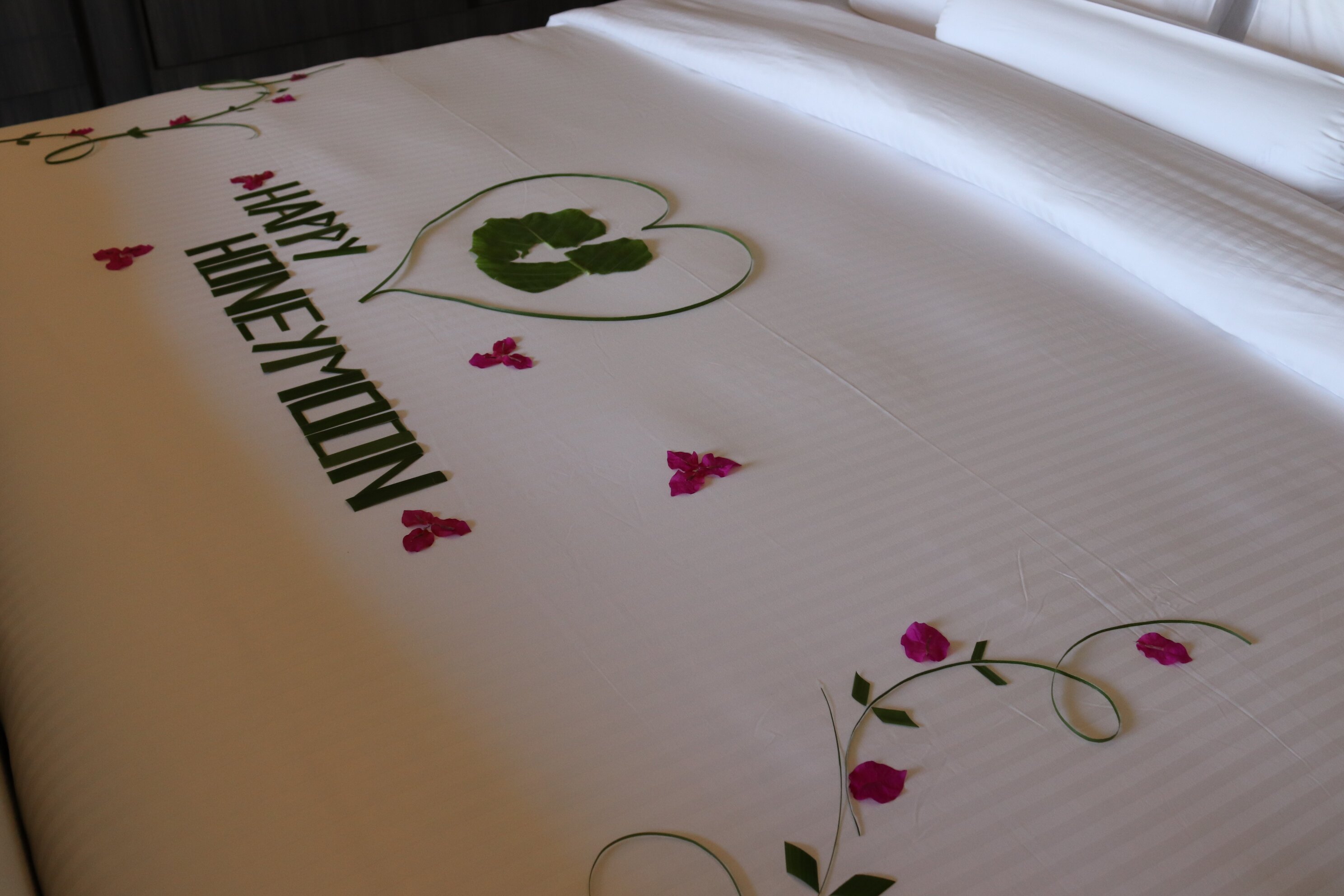 Madifushi Private Island-酒店景观