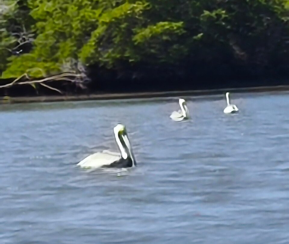 El Pechocho-Topolobampo必去景点