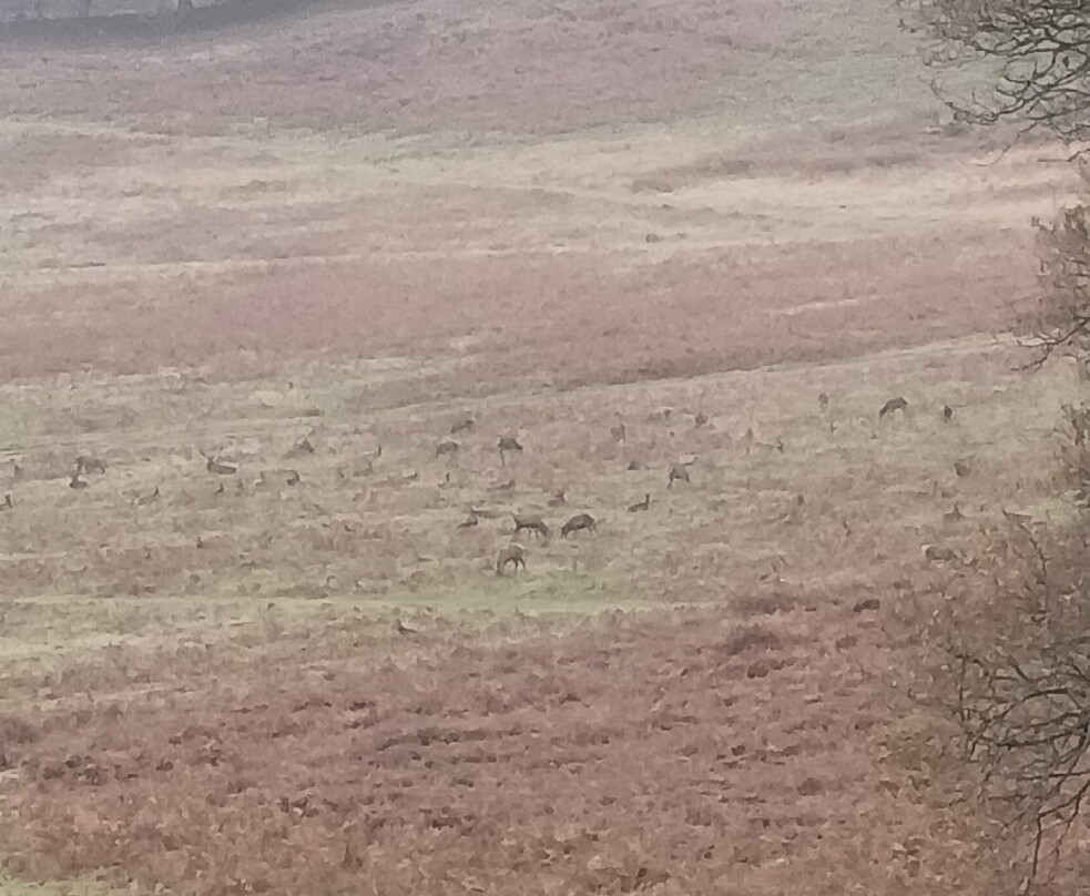 布拉德盖特公园-Newtown Linford必去景点