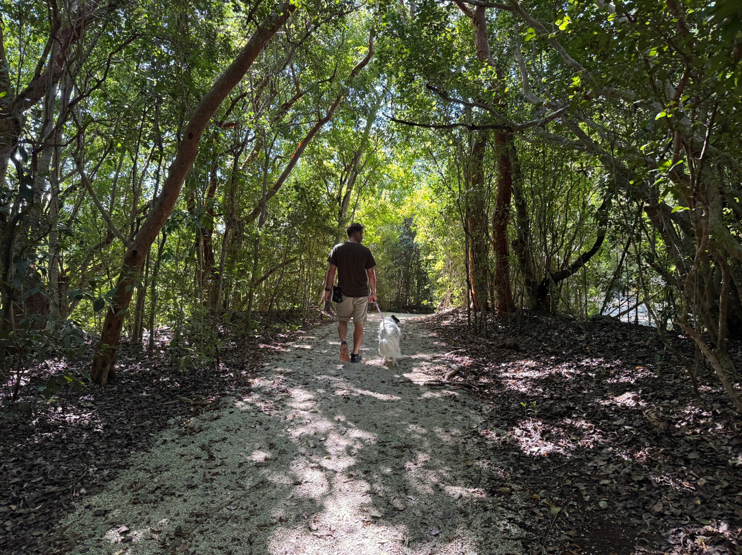 Windley Key Fossil Reef Geological State Park-伊斯拉摩拉达必去景点