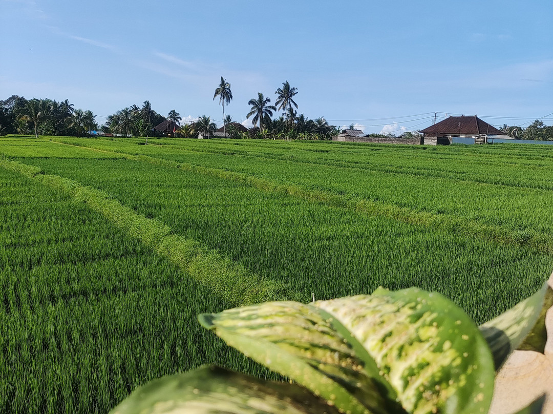 The Nenggala Suite主图