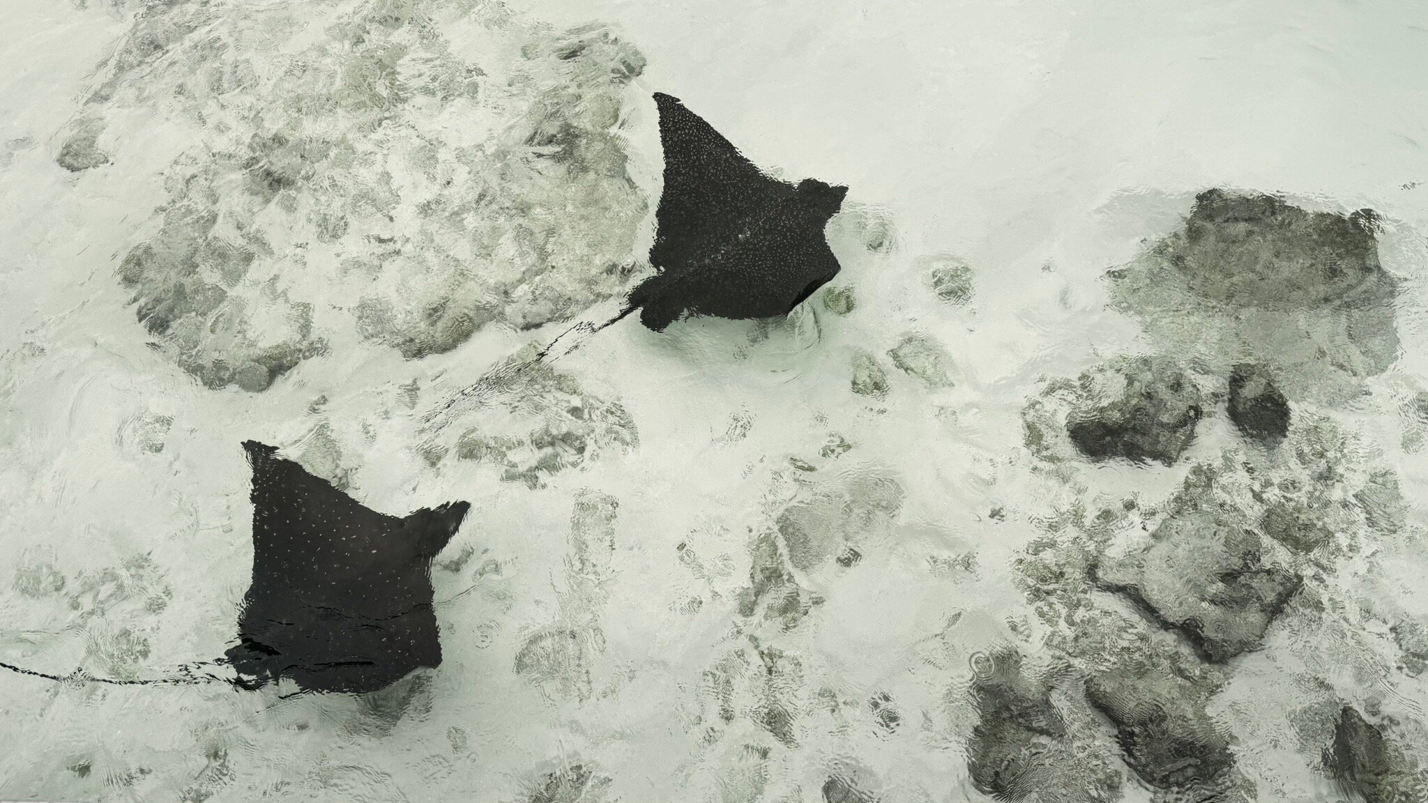 康斯丹魔富士度假村-官方