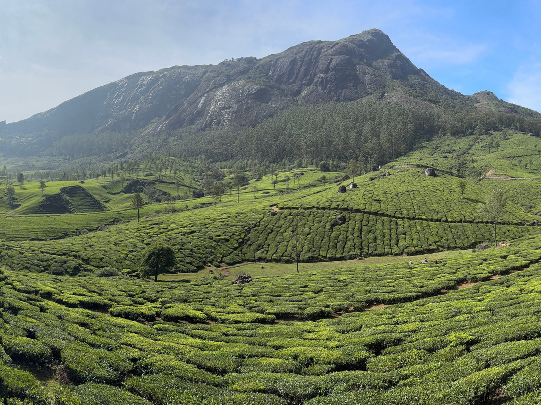 Kochi Holidays (Tours and Travels)-柯钦必去景点