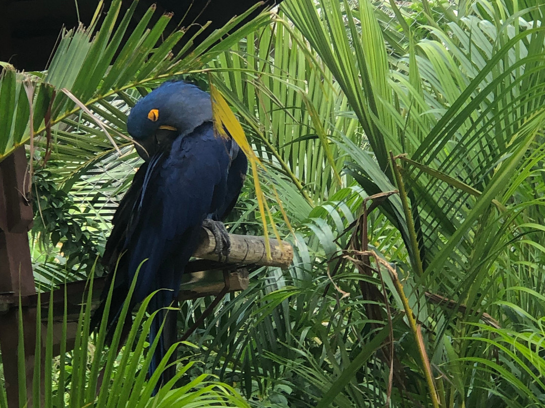 Parque Arvorar-Aquiraz必去景点