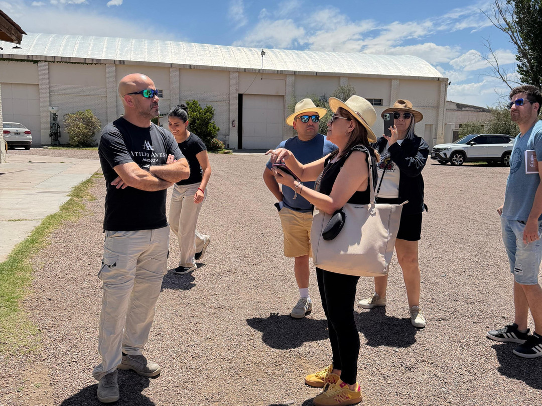 Bodega Atilio Avena-门多萨必去景点