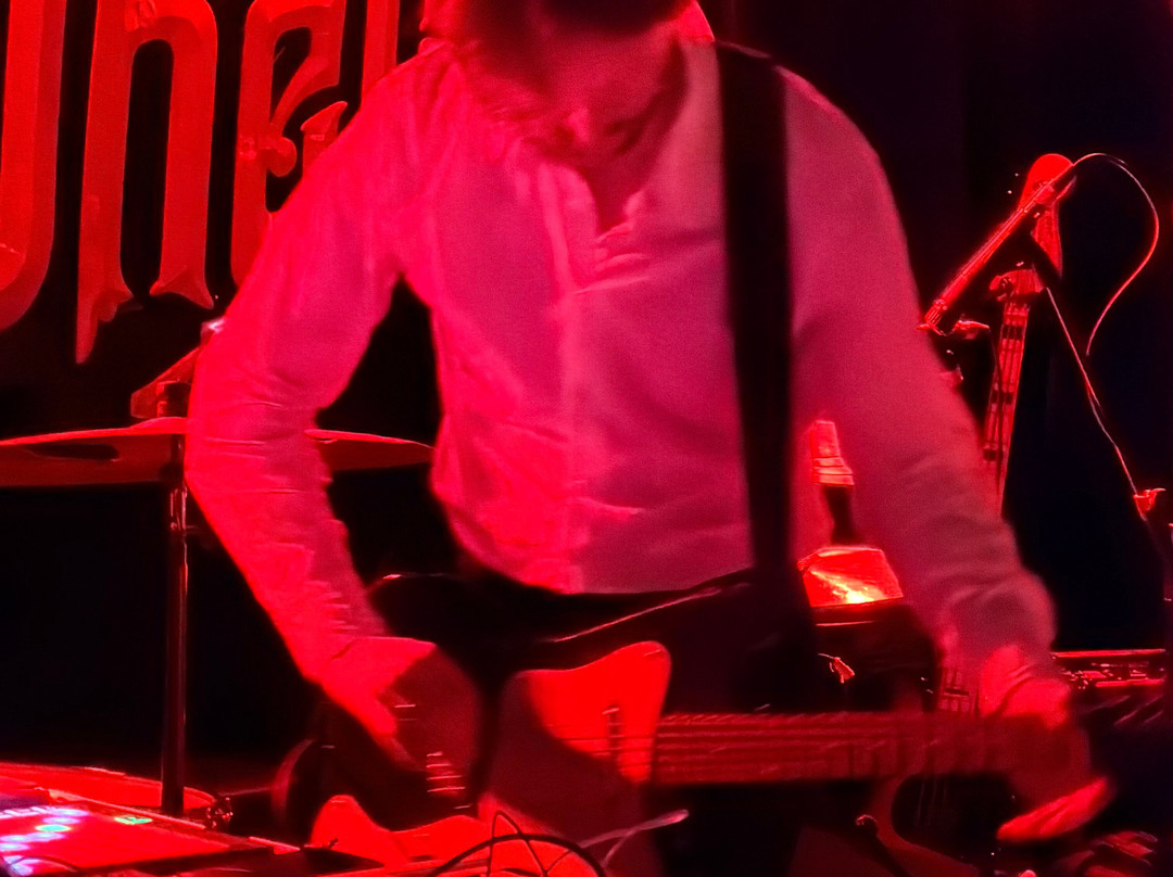 Whelan's-都柏林必去景点