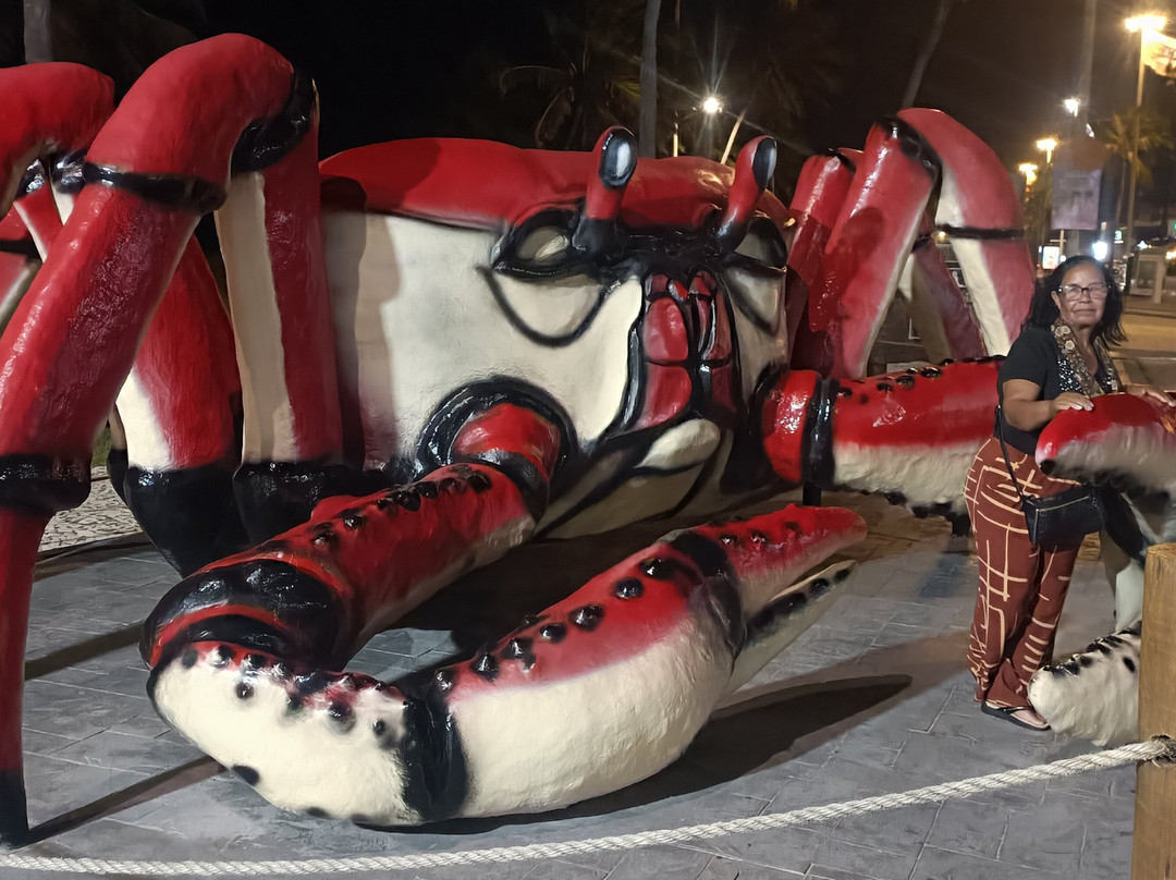 Passarela do Caranguejo-阿拉卡茹必去景点