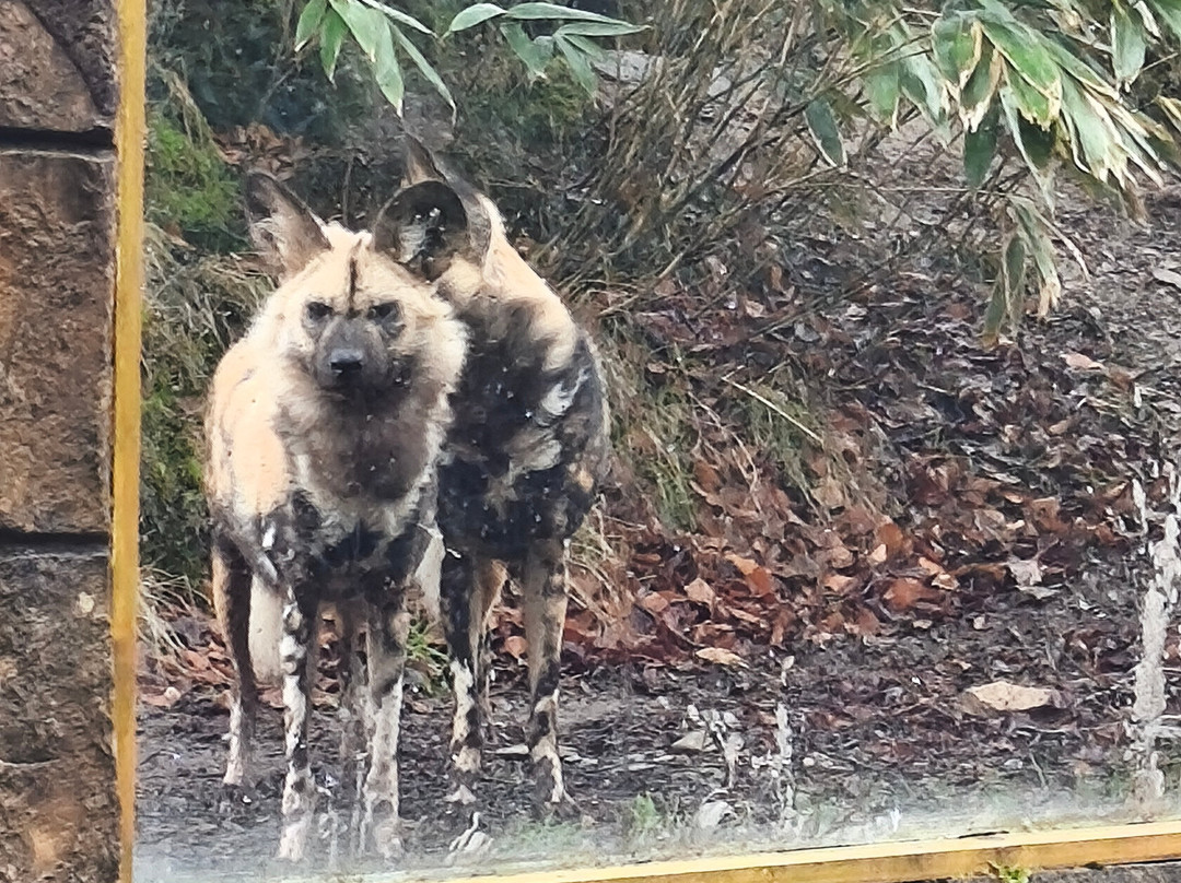 Exmoor Experience-Allerford必去景点