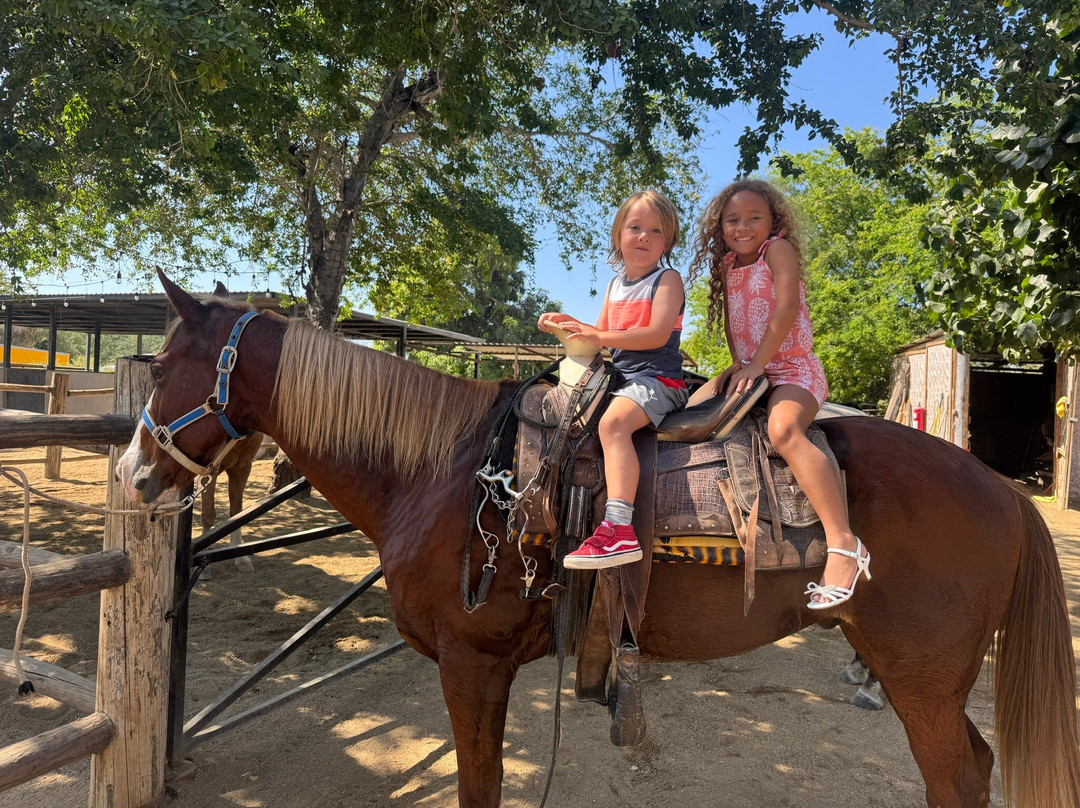 Rancho Animas-Animas Bajas必去景点
