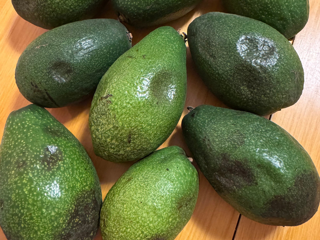 Finca Solmark-Carratraca必去景点