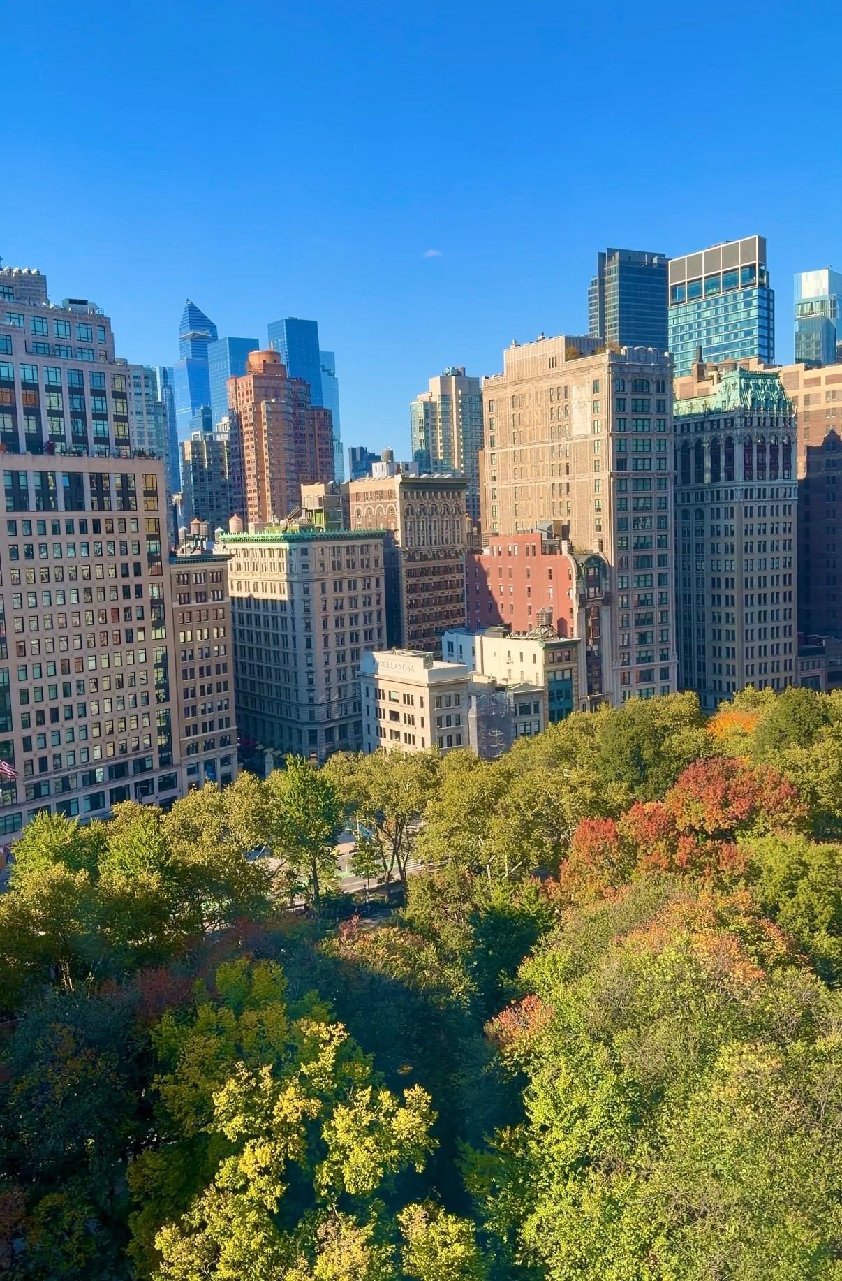 纽约艾迪逊酒店-酒店景观