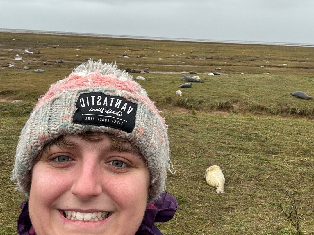Donna Nook Nature Reserve-North Somercotes必去景点