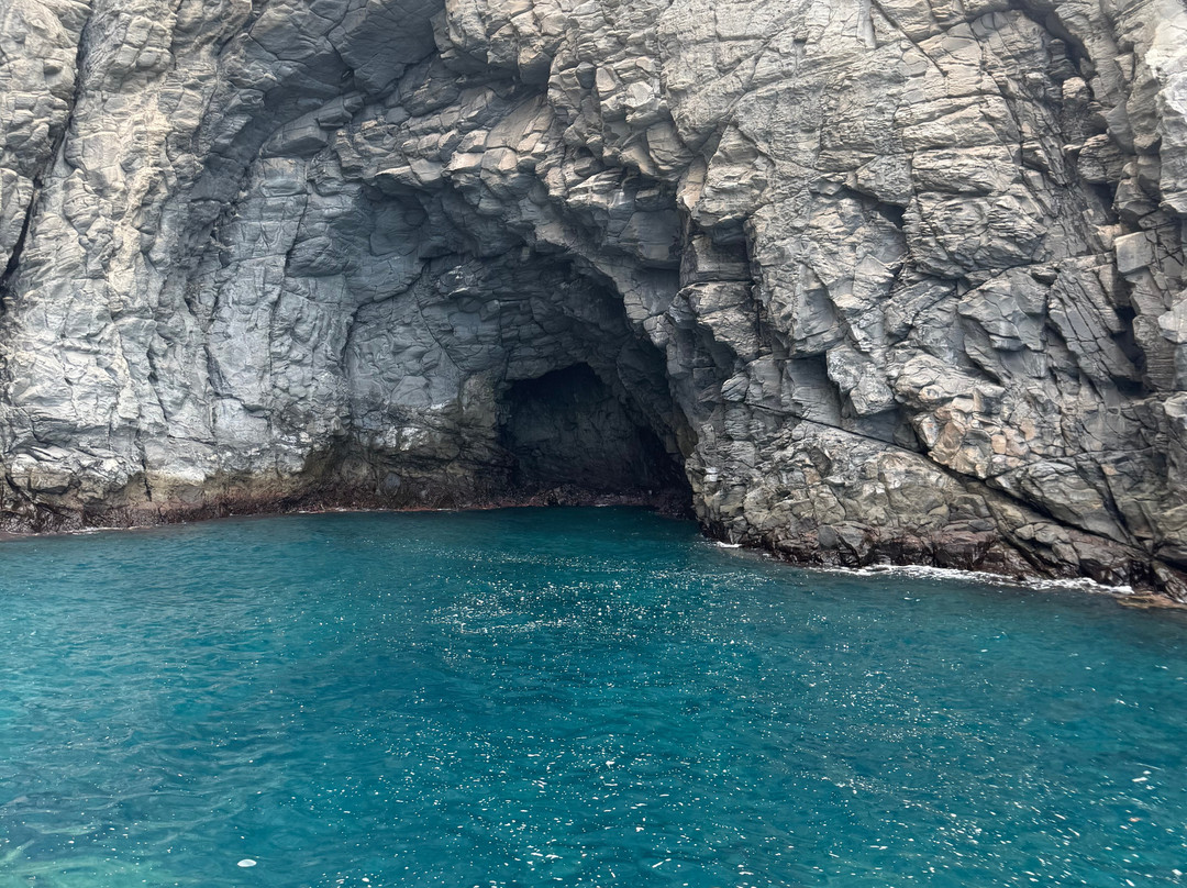 ZIPtransfers-巴塞罗那必去景点