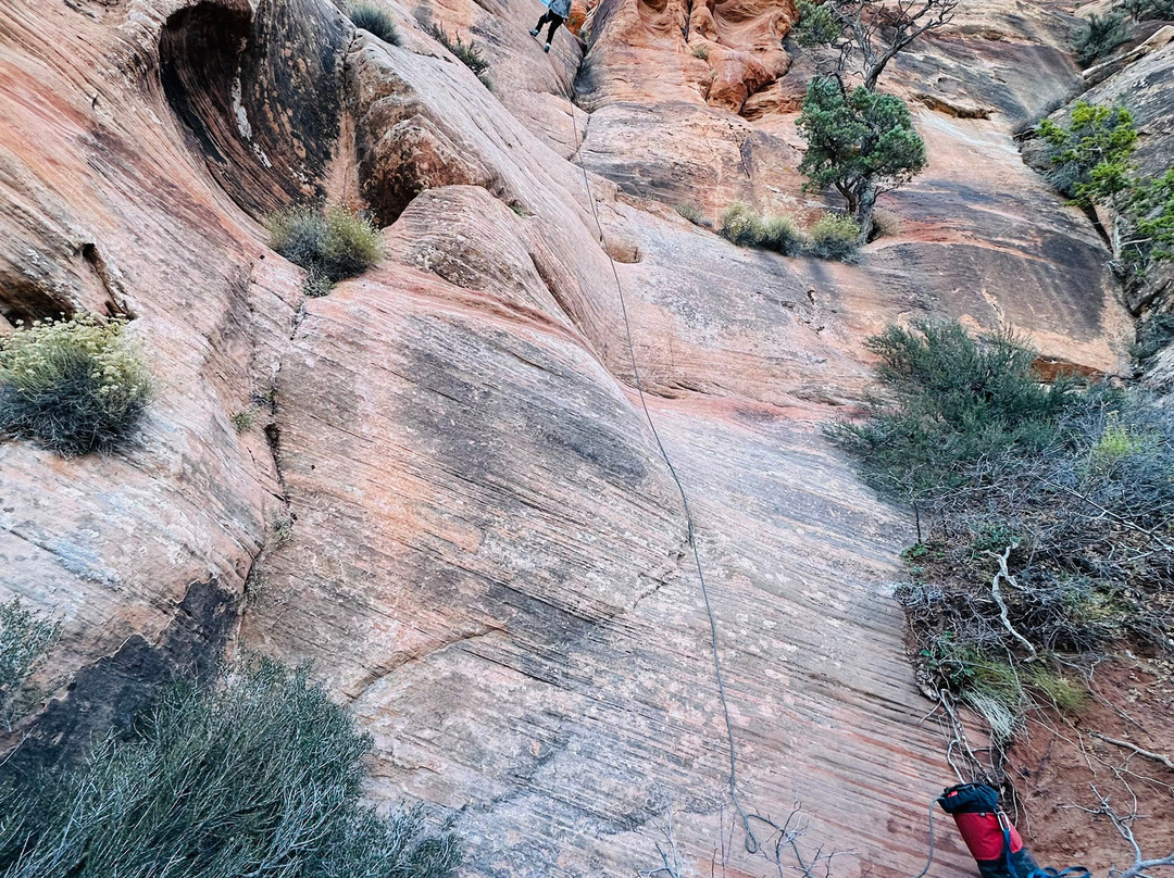 Rock Odysseys-斯普林代尔必去景点