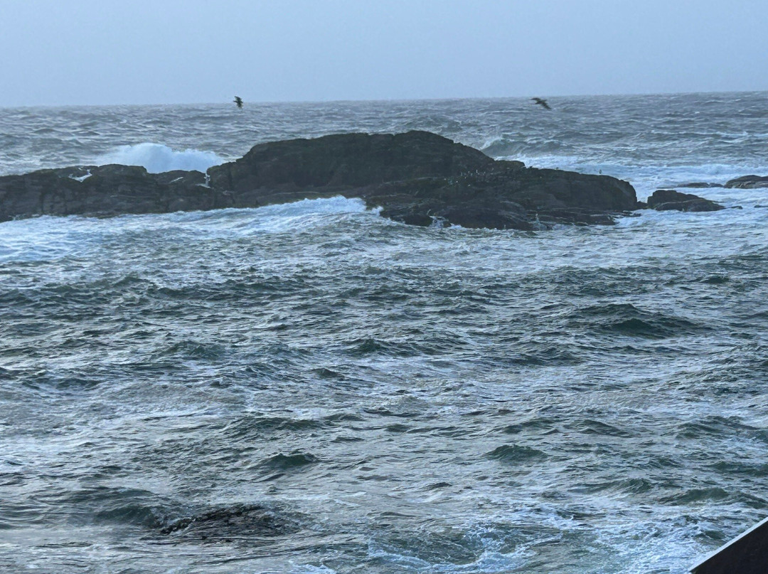 Fiskebrygga-克里斯蒂安桑必去景点