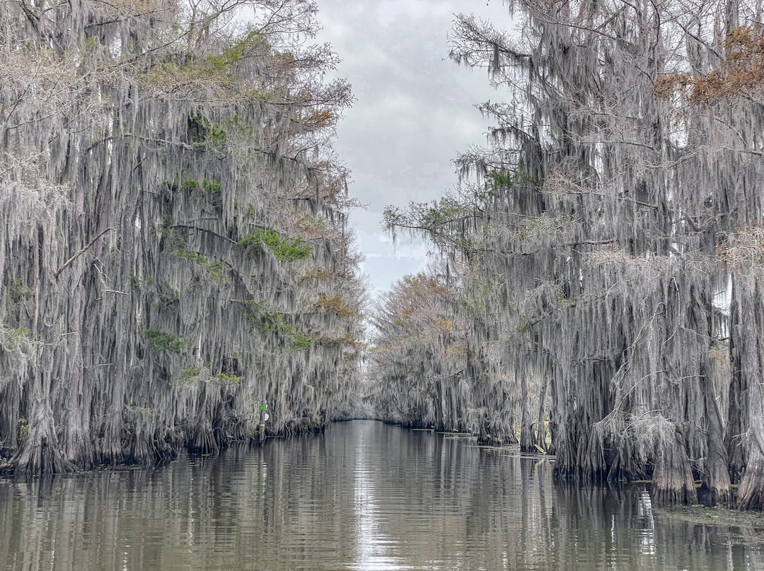 Captain Ron's Swamp Tours-Karnack必去景点