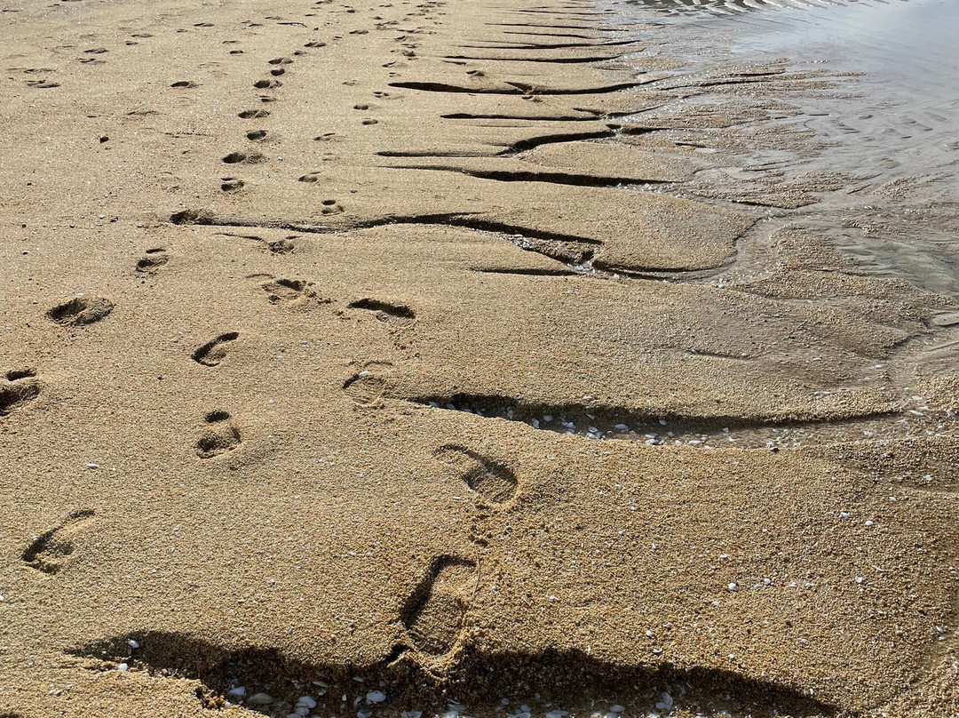 Adventurous Women-珀斯必去景点