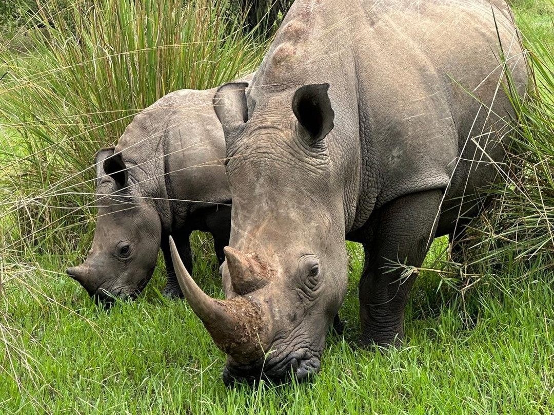 Grassrootz Adventures Uganda-坎帕拉必去景点