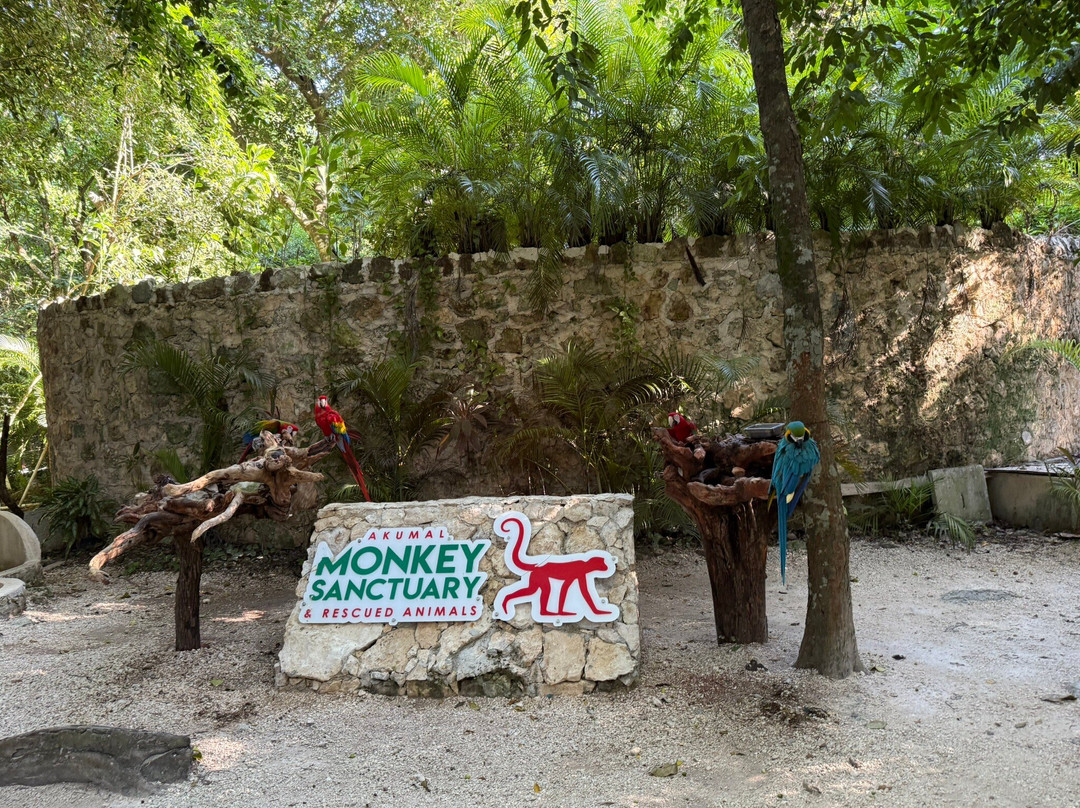 Akumal Monkey Sanctuary & Rescued Animals-艾库玛尔必去景点