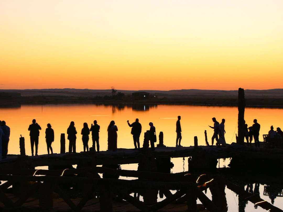 Dabuka Travel Visions-开罗必去景点