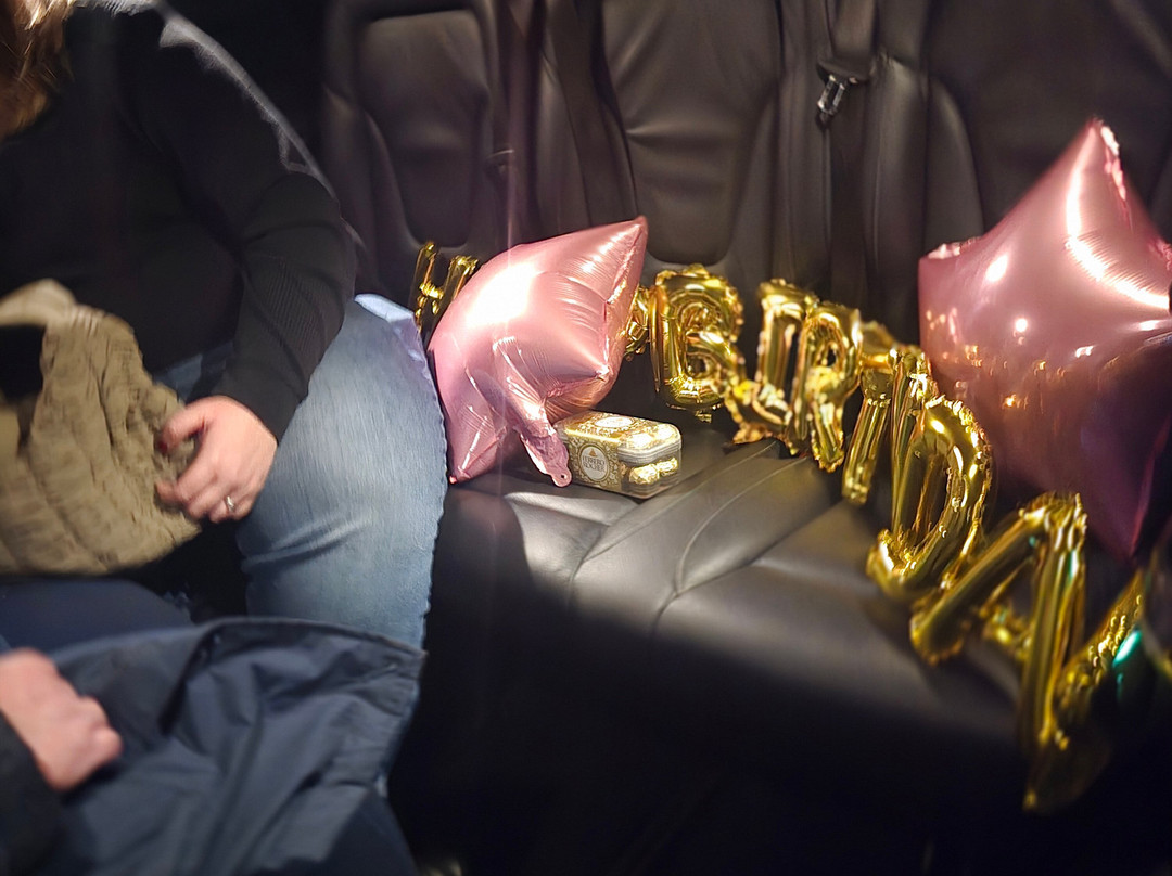 DisneyParis Transfer Cabs-巴黎必去景点