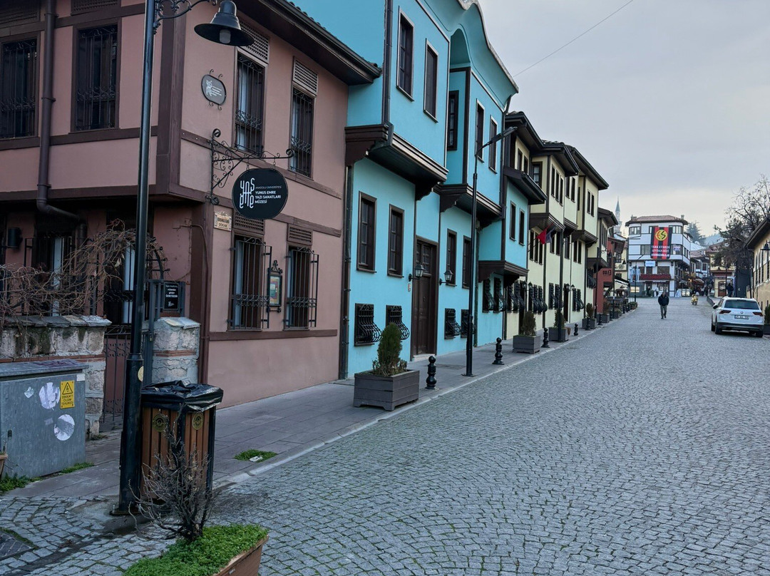 Odunpazari Evleri-埃斯基谢希尔必去景点