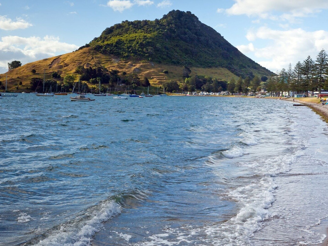 Tauranga Private Walking Tour with a Local