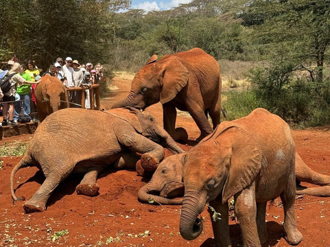 Steri Tours and Travel-内罗毕必去景点