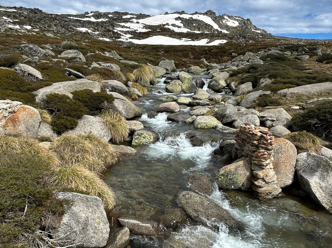 Fun Over Fifty-布里斯班必去景点