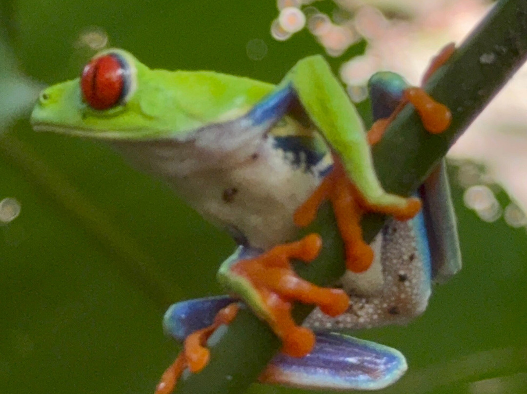 Tour Guanacaste-波特雷罗必去景点