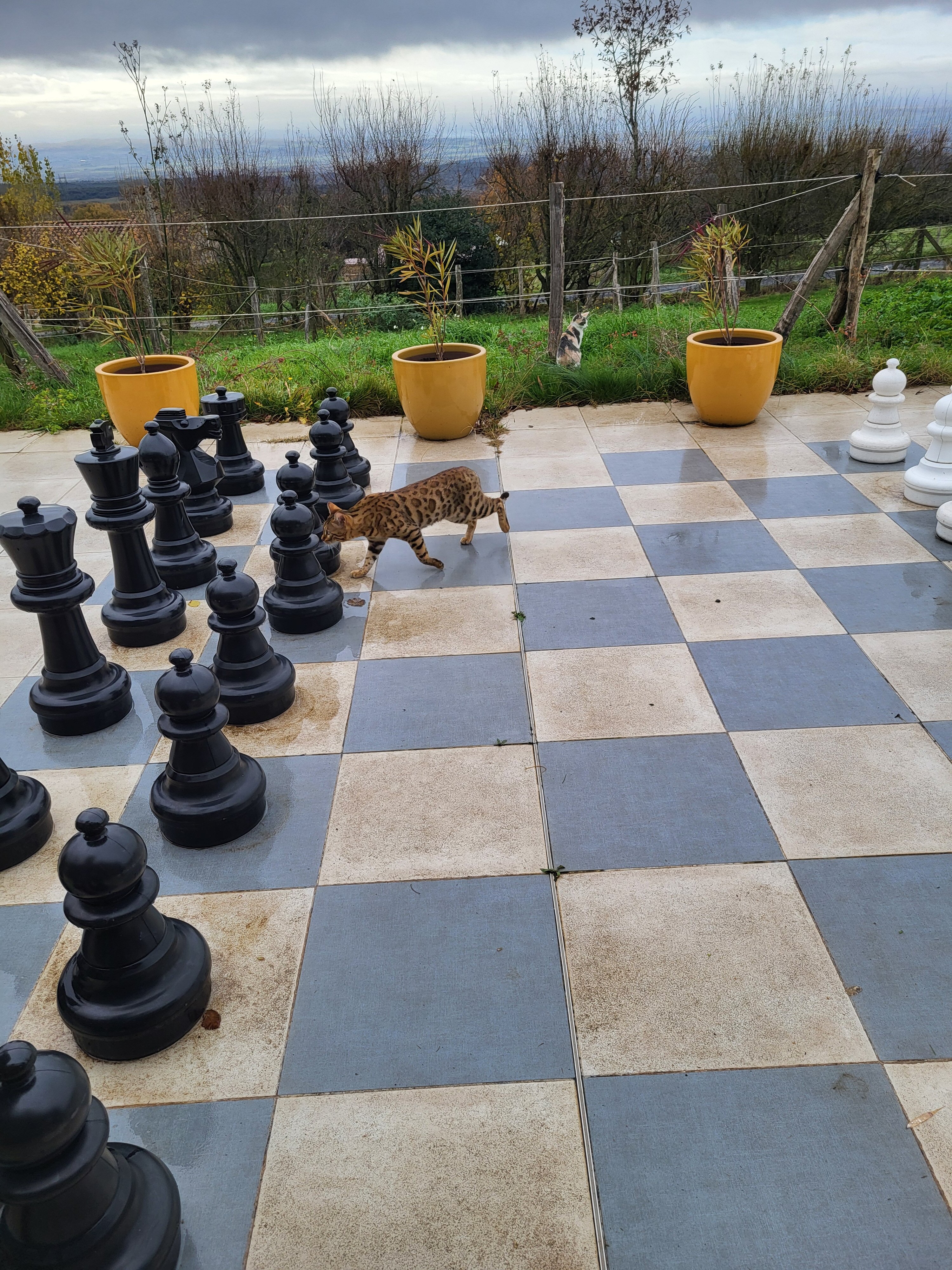 Domaine De Campras-官方