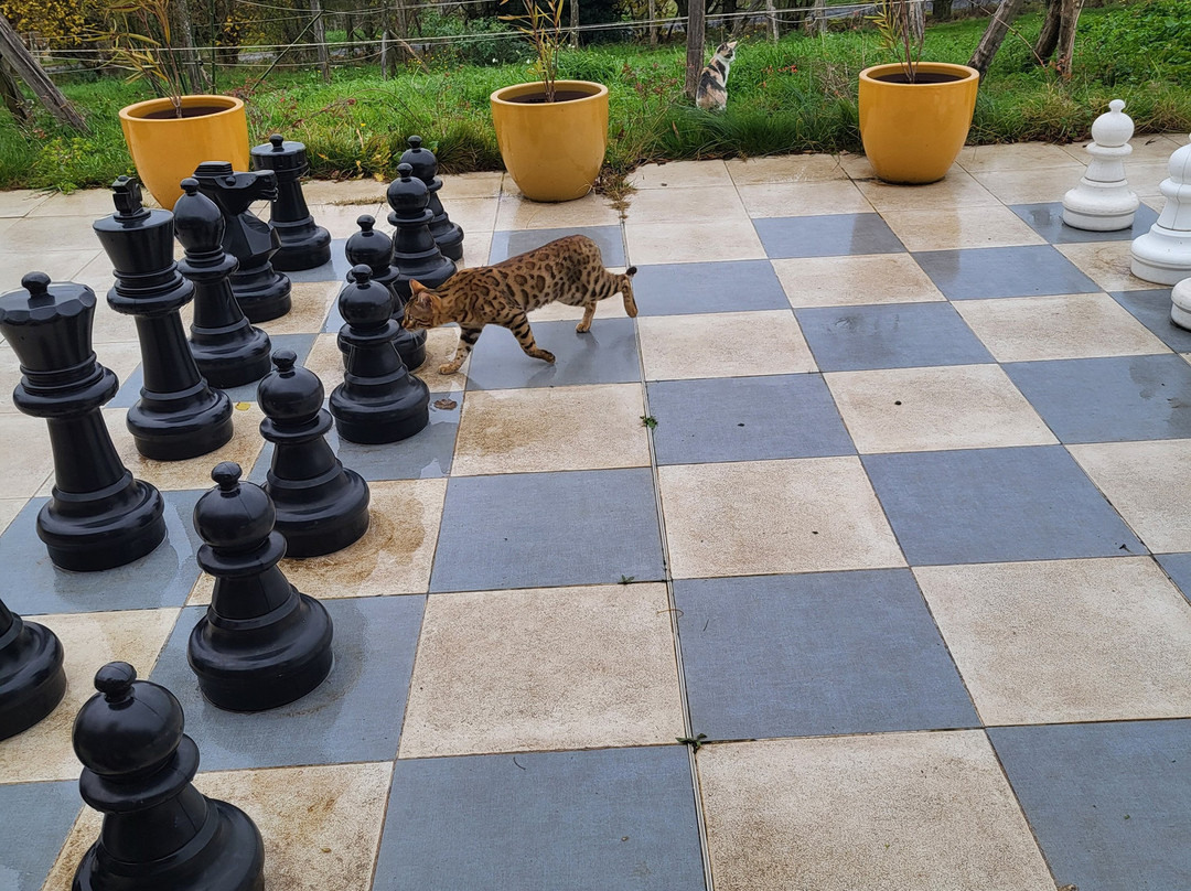 Domaine De Campras主图