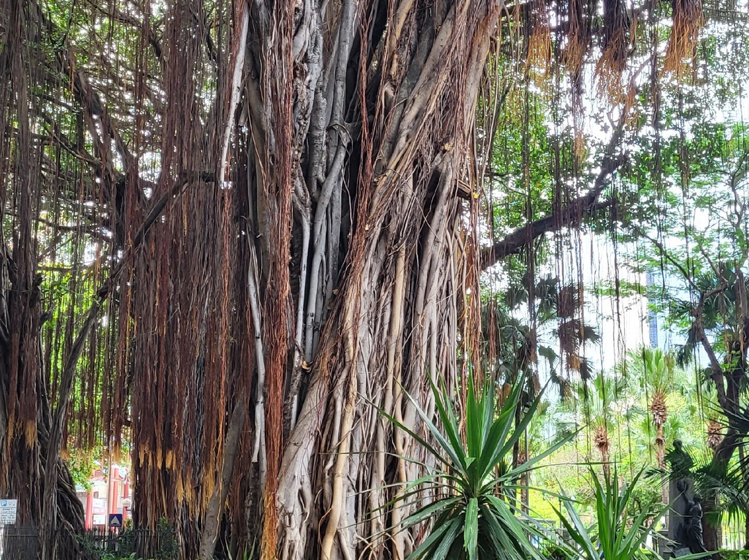 Natural History Museum-路易士港必去景点