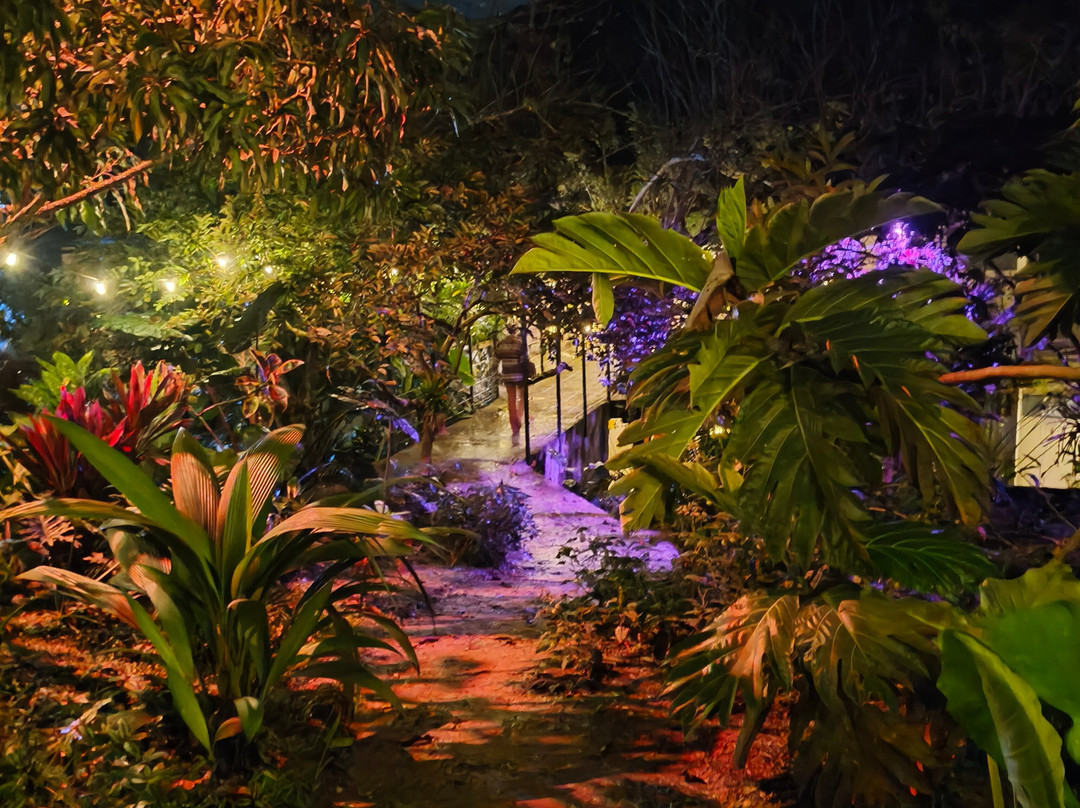 Cerro Tusa Springs主图