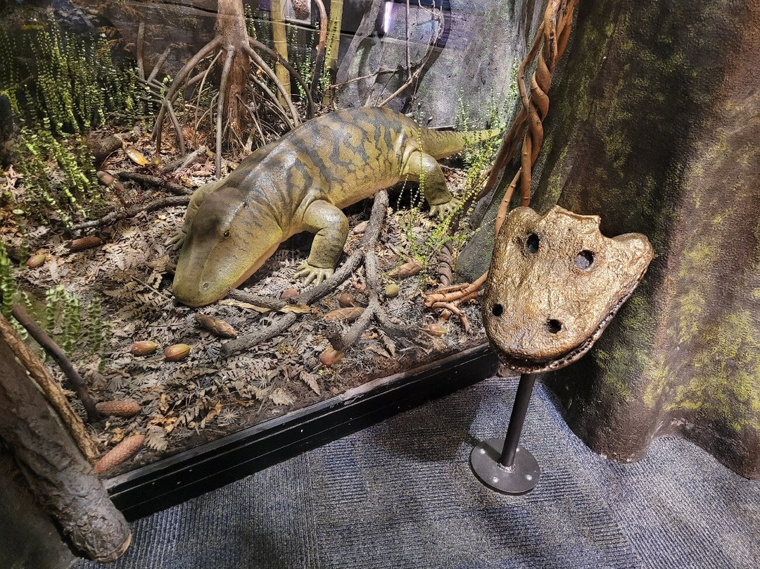 Saint Louis Science Center-圣路易斯必去景点