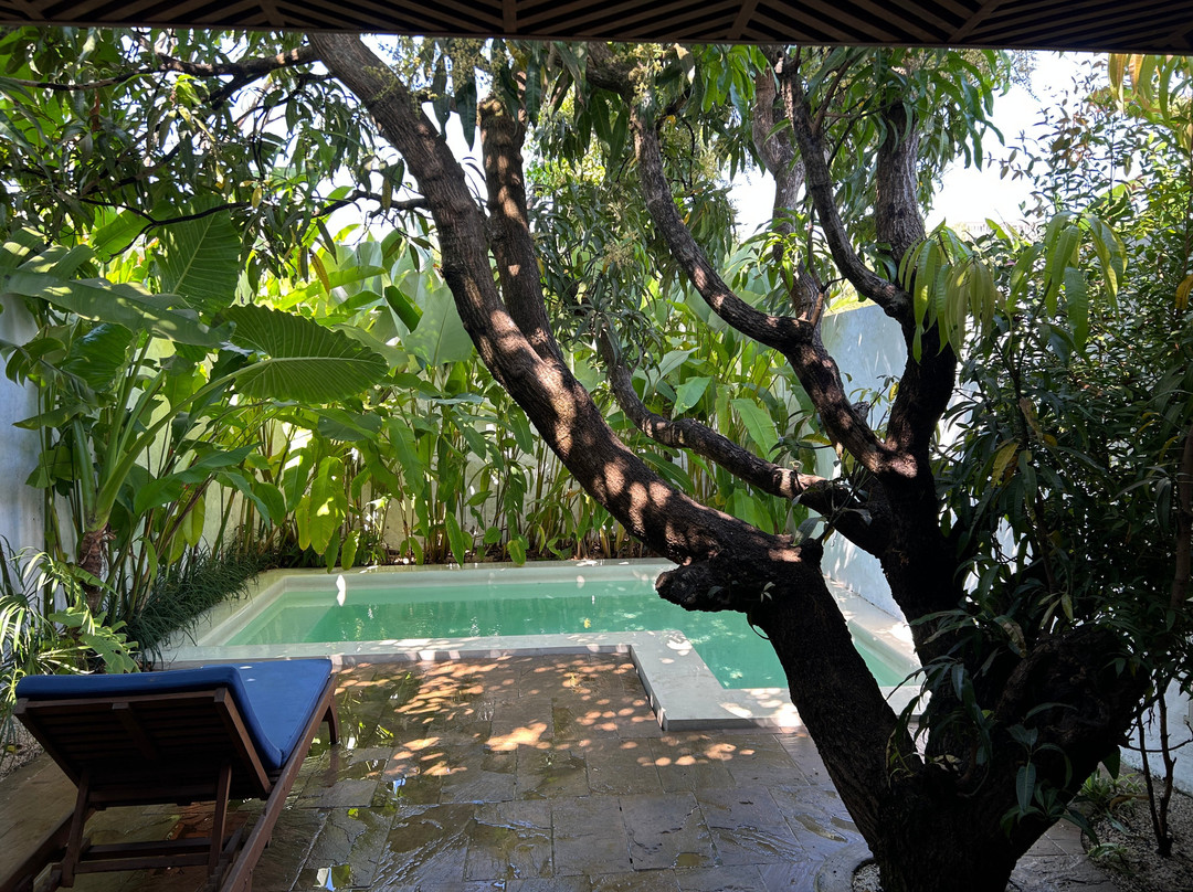 Azora by Ayatana Goa