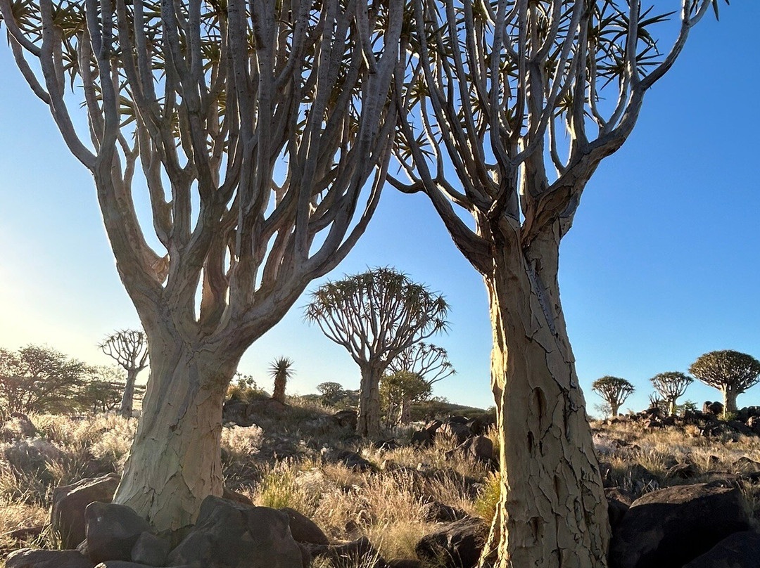Ondjou Tours cc-华维斯湾必去景点