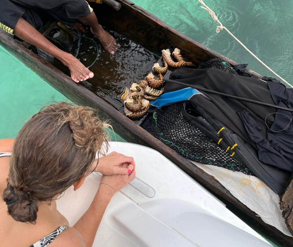 Catamaran Adventures San Blas-埃尔波韦尼尔必去景点