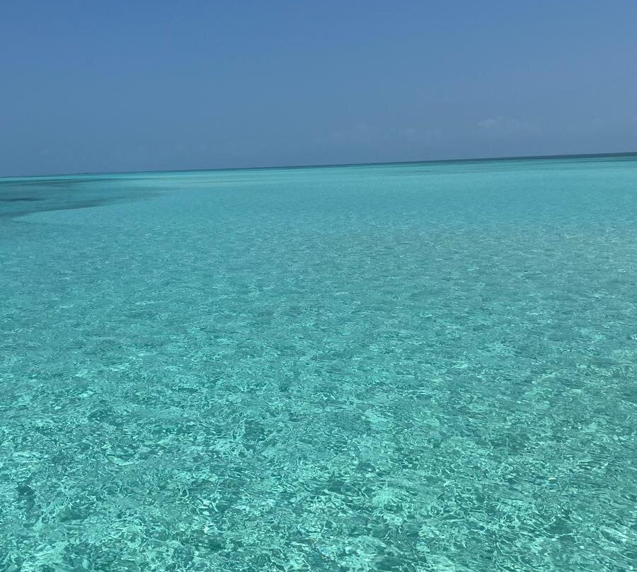 Garibaldi Safari Kenya-瓦塔木必去景点