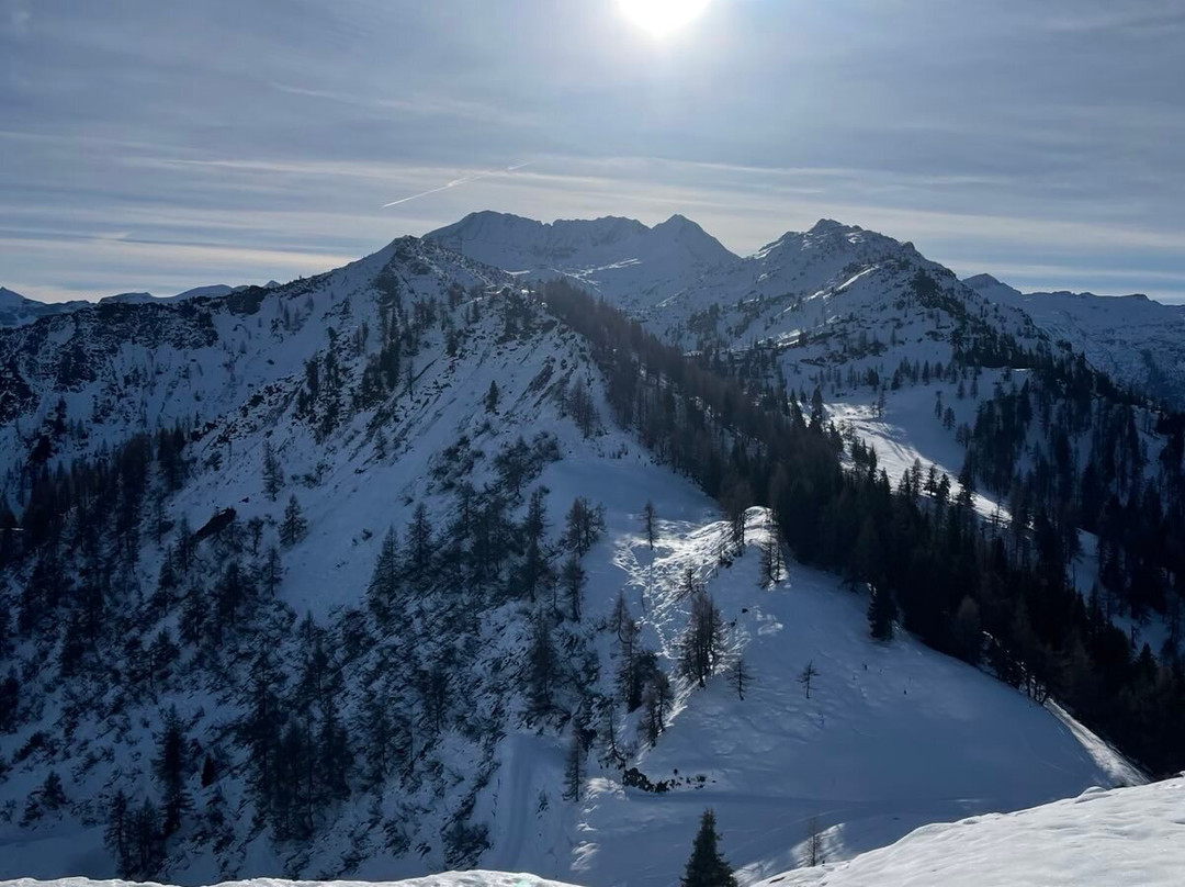 Hotel Alpenrose主图