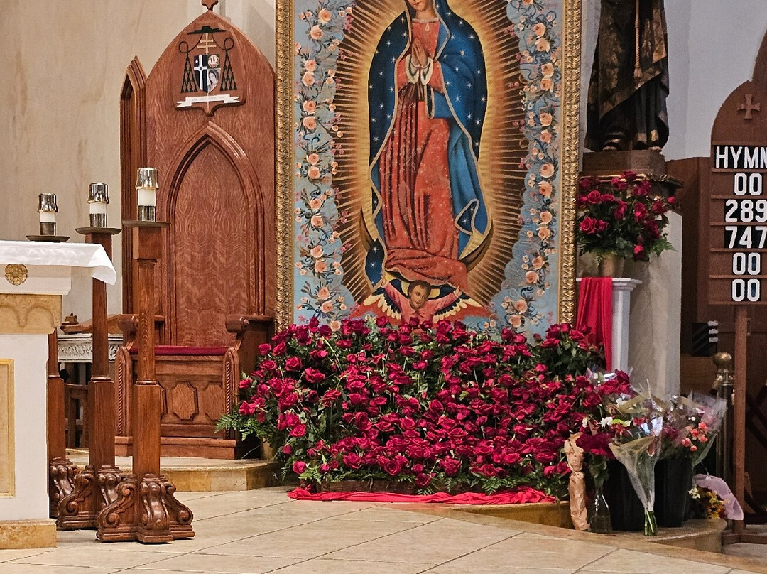 San Fernando De Bexar Cathedral-圣安东尼奥市必去景点