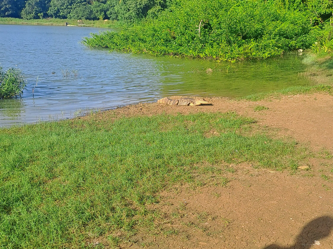 Laguna Big Pond-圣安德烈斯必去景点